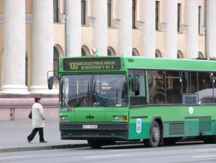 автобус100